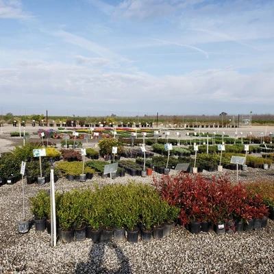 Riverside Nursery and Landscape Supplies