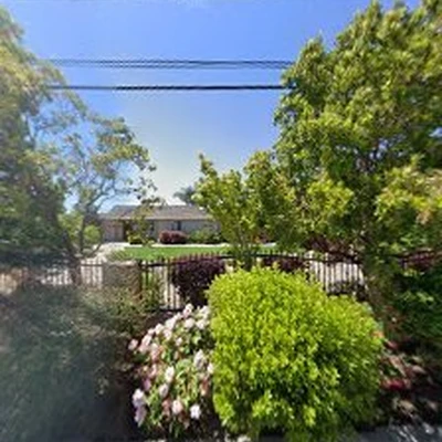 New Look Landscape Inc