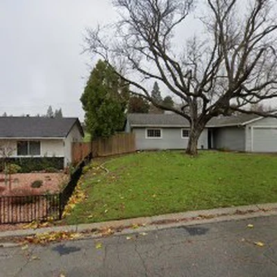 A Premier Landscaping and Firewood Tree Service Citrus Heights