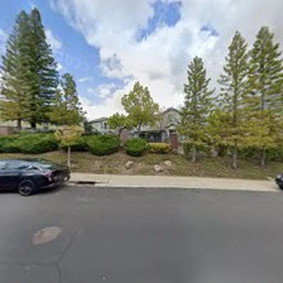 Bloom Landscaping