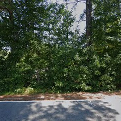 Tracey's Tree Services & Landscaping