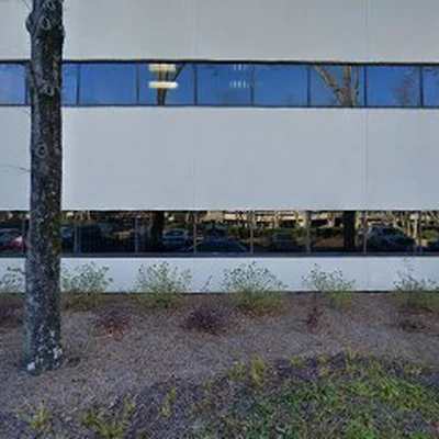 Need A Helping Hand Landscaping