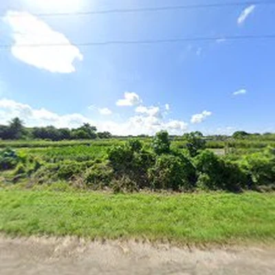 Beautiful Landscaping Miami FL