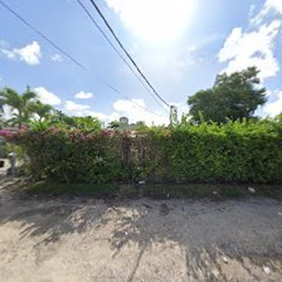 East Everglades Landscaping