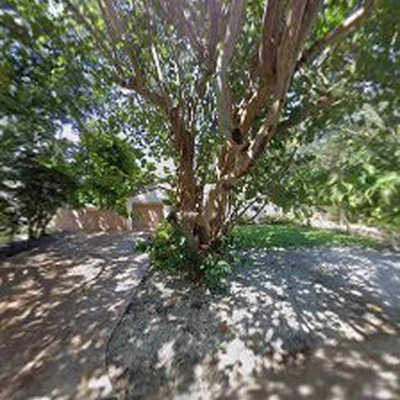 SoFlo Tree Care & Landscape