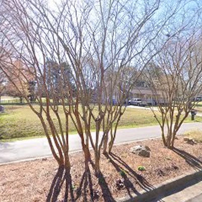 WN Landscaping