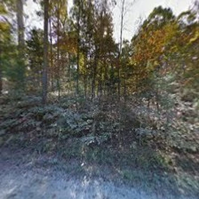 Mayen Landscaping