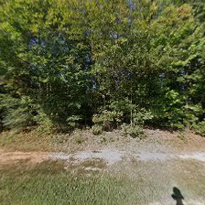 Amigo's Landscaping