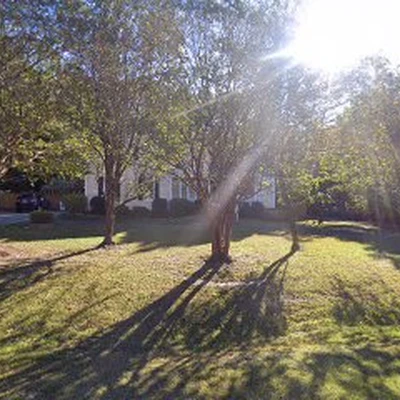 Holland and Sons Landscaping