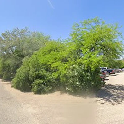 American Desert Landscape