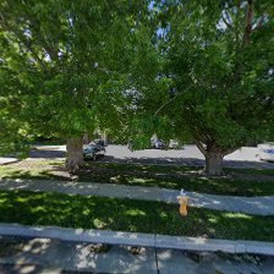 Garden &🌲Tree Services Landscaping