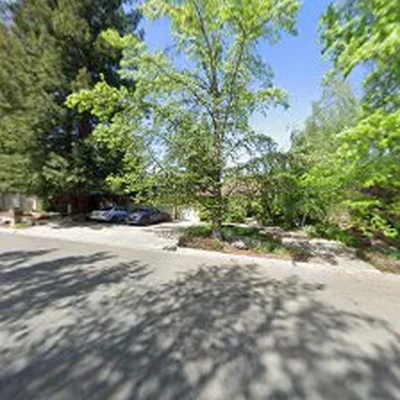 A&N Gardening & Landscaping