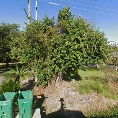 Mitch's Landscaping & Lawn Co