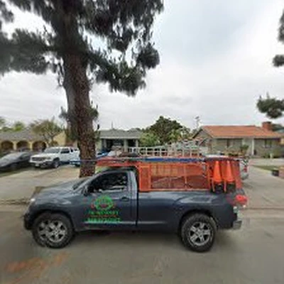 Castelan The Tree Experts "Enhancing The Beauty of Your Tree's"