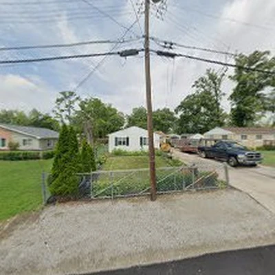 Cotras tree service