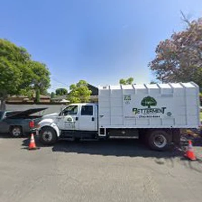 Betterment Tree Health Care