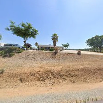 BloomiCa Landscaping