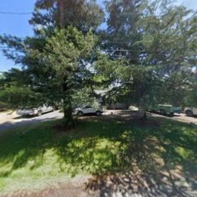 BridgeWood Tree Care