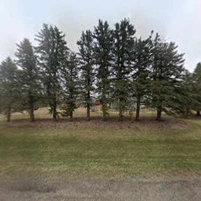 The Lawn Guy, LLC