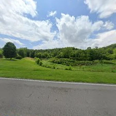 Backyard roots ky