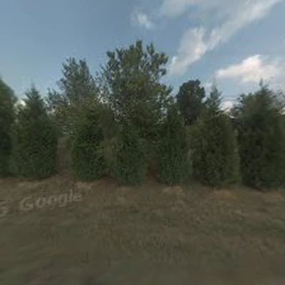 Complete Grounds Commercial Landscaping