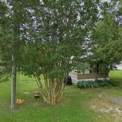 Ajnlk's Landscaping and Beyond