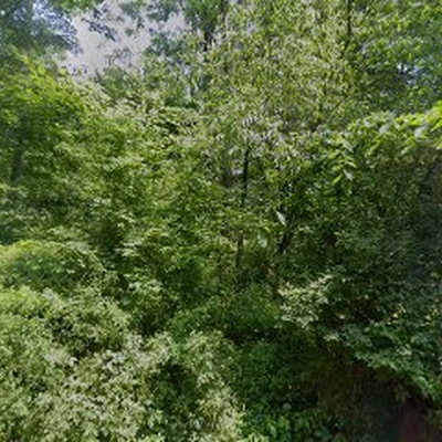Millenium Tree Service & Landscaping Design Inc.
