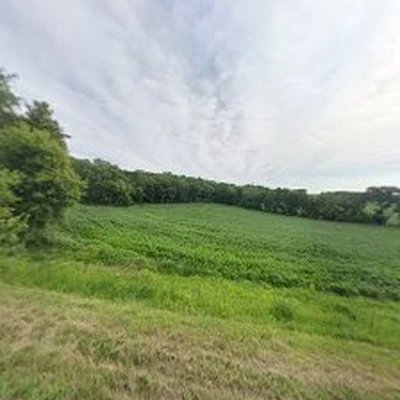 Greenscapes