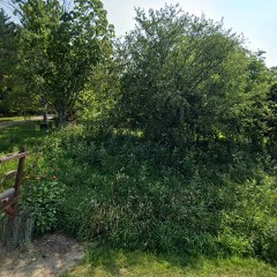 Madison Horticultural and Landscaping Services