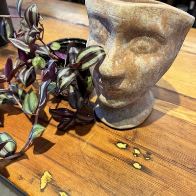 Garden Heights Nursery