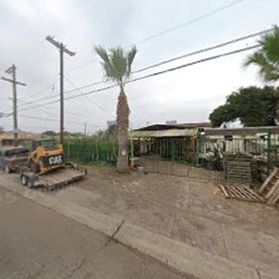 Roy's Palms Landscaping & Irrigation