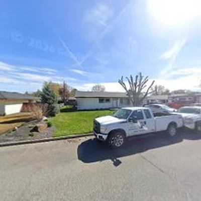 Lion Landscaping & Maintenance LLC