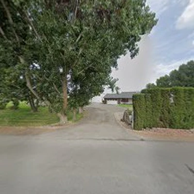 Palmer Landscape Design