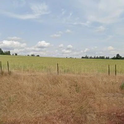 Natural Impressions Landscaping