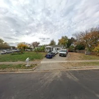 Tarzan Tree and Landscaping LLC.