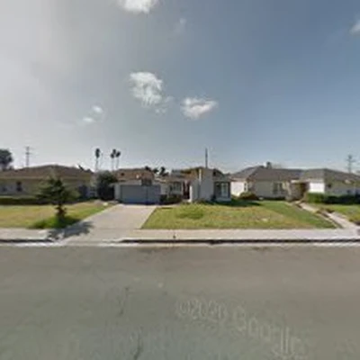 Segura's Tree Service Landscaping