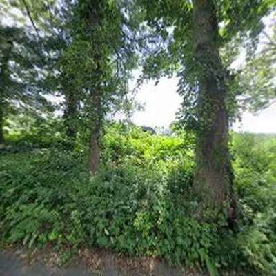 Green Gardens Landscaping & Nursery