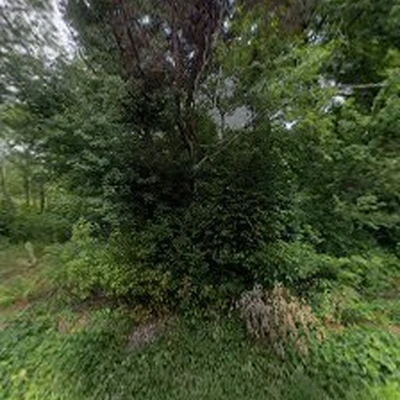 Plowman Landscaping