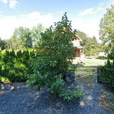Terra Landscape & Construction