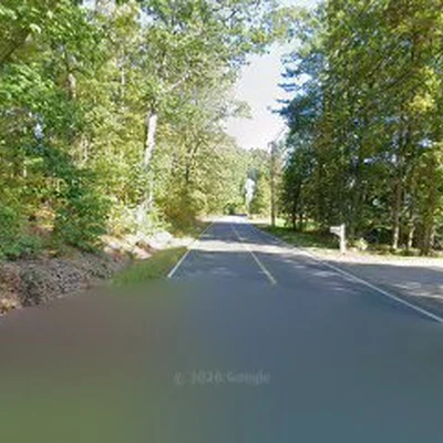 The Basic Landscaping