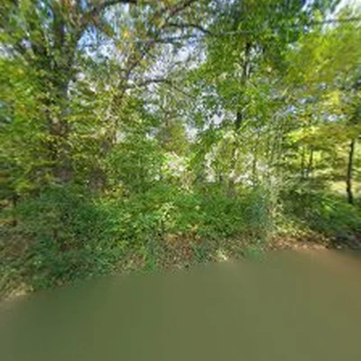 Acorn Tree & Landscaping inc.
