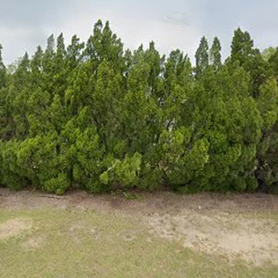 Nature's Way Landscaping