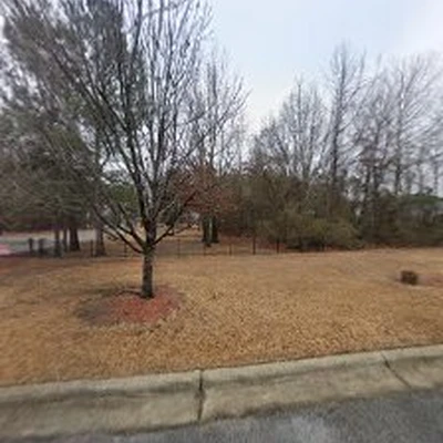 Buena vista landscaping LLC