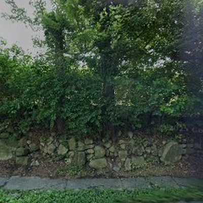 Tree Service Landscape
