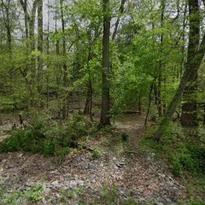 Manor Landscape and Design
