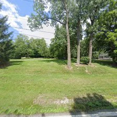 Luis m tree service & landscaping inc.