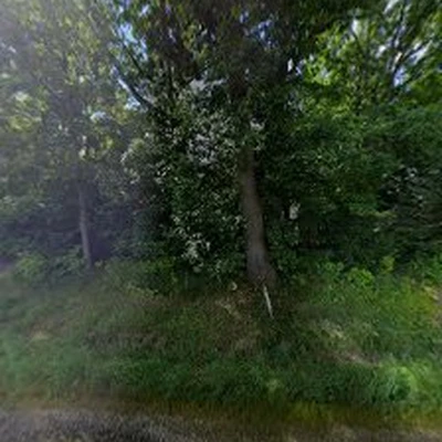 Jesse's Landscaping