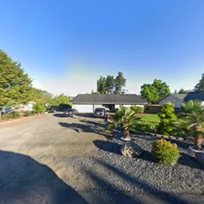 New View Irrigation & Landscaping Services LLC