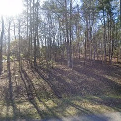 Legacy Landscaping
