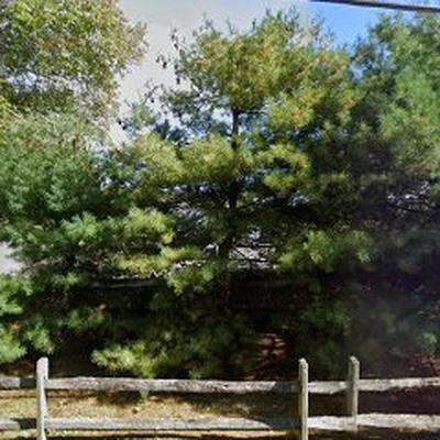 Green Acres Landscaping & Construction